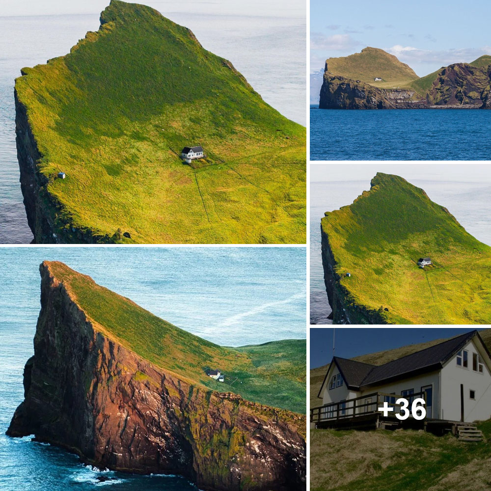 unveiling-the-mystery-exploring-the-loneliest-house-in-the-world-in