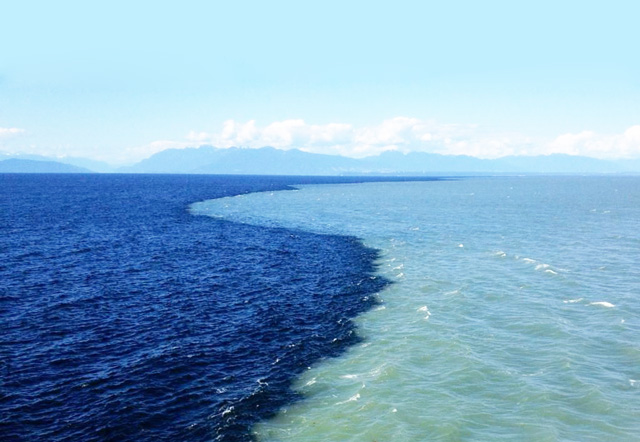 This is why the ocean has two distinct bodies of water that cannot be mixed - movingworl.com